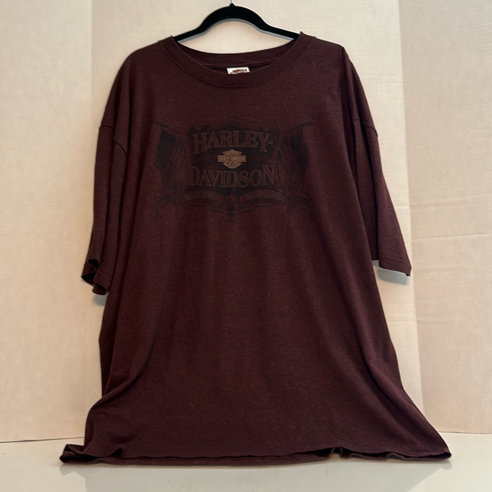 Men’s Harley Davidson tee shirt. Excellent condition, no stains.